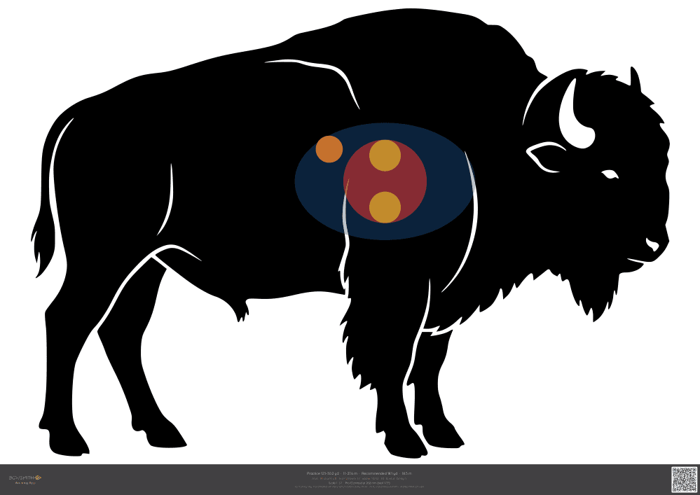 Podgląd tarczy Bison ASA