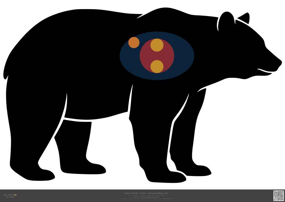 Podgląd tarczy Black bear ASA