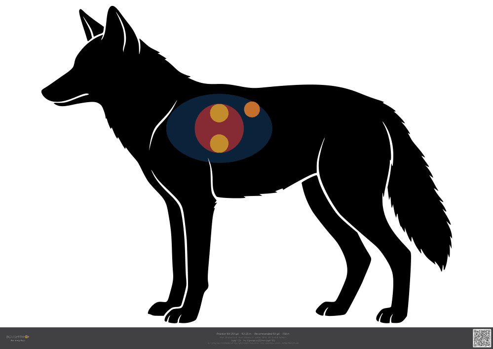 Podgląd tarczy Coyote ASA