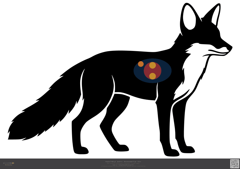 Podgląd tarczy Fox ASA