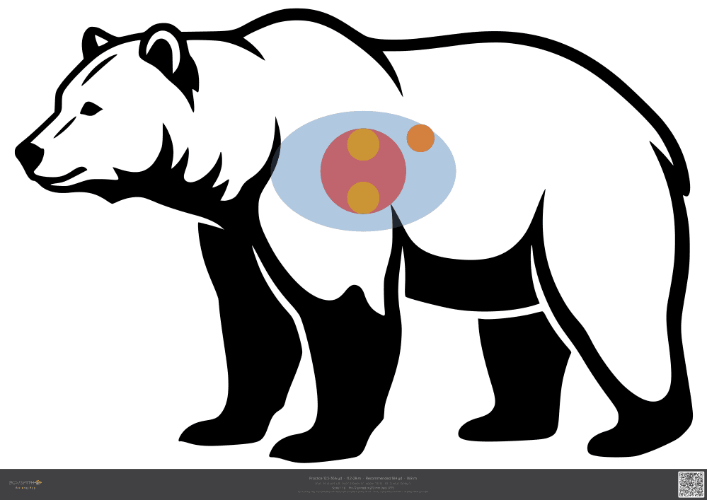 Podgląd tarczy Grizzly bear ASA