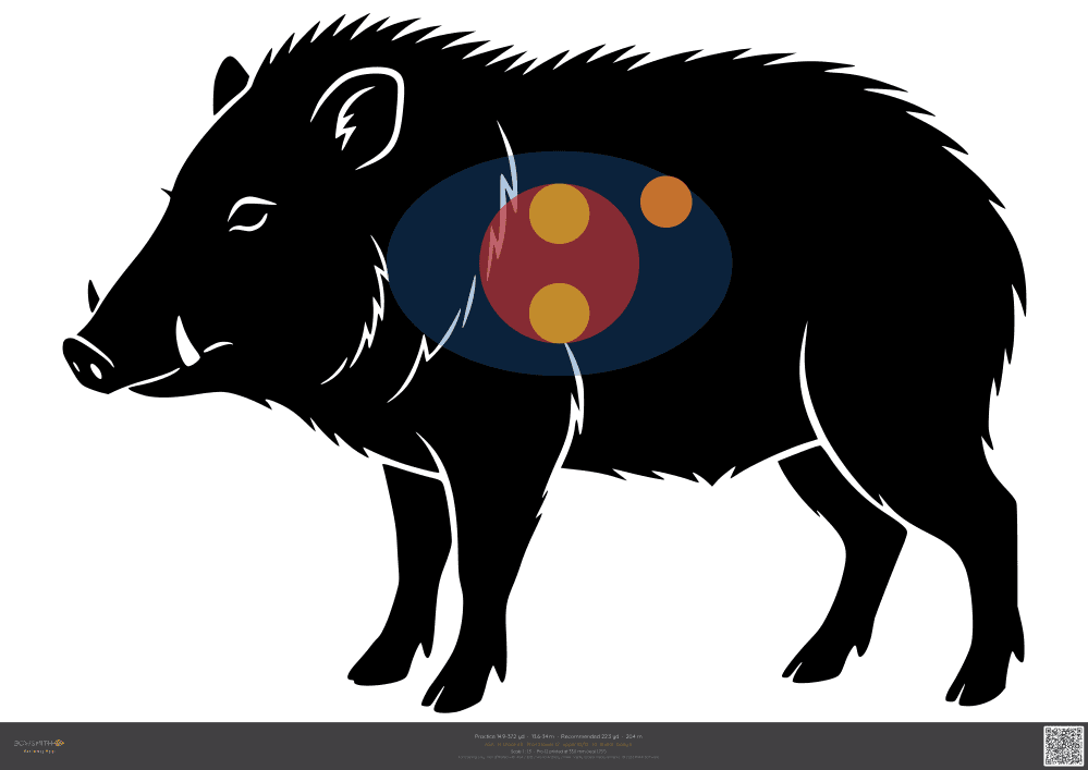 Podgląd tarczy Javelina ASA