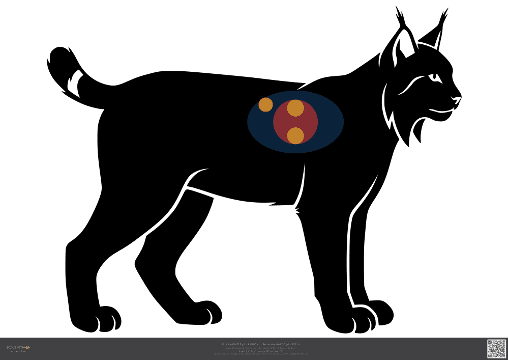 Podgląd tarczy Lynx ASA