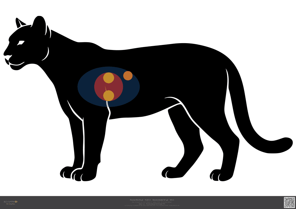 Podgląd tarczy Mountain lion ASA