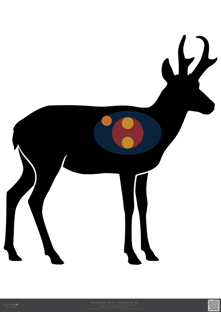 Podgląd tarczy Pronghorn ASA