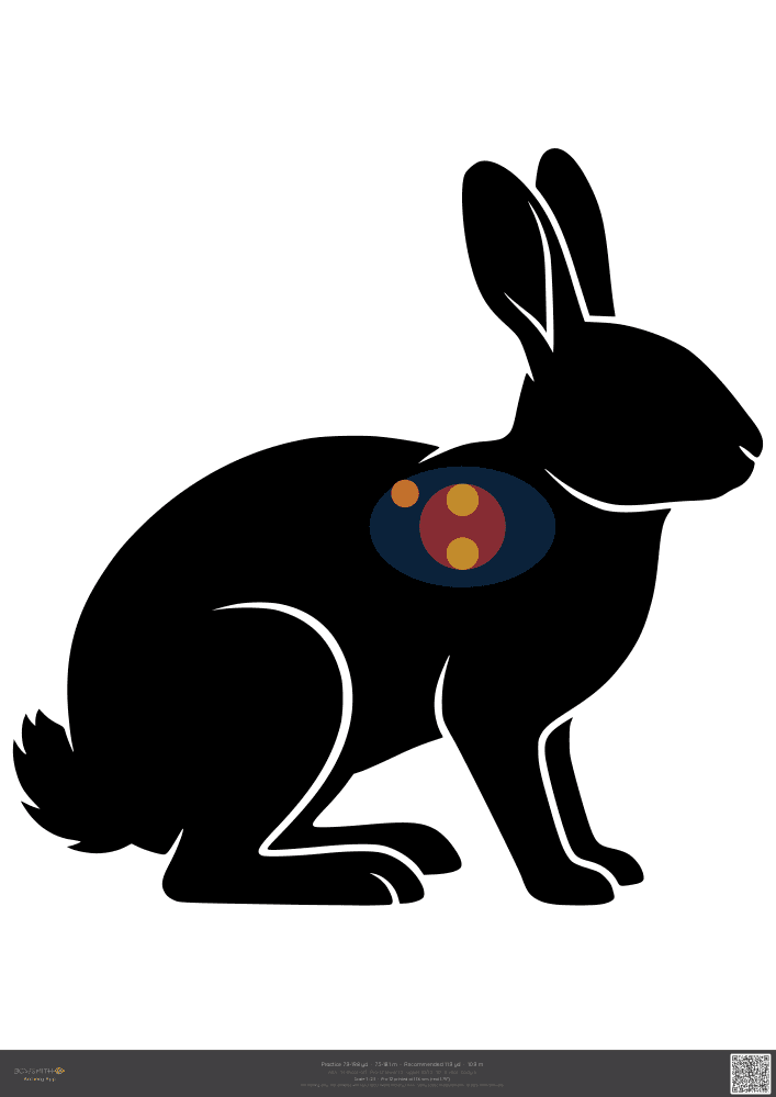 Podgląd tarczy Rabbit ASA