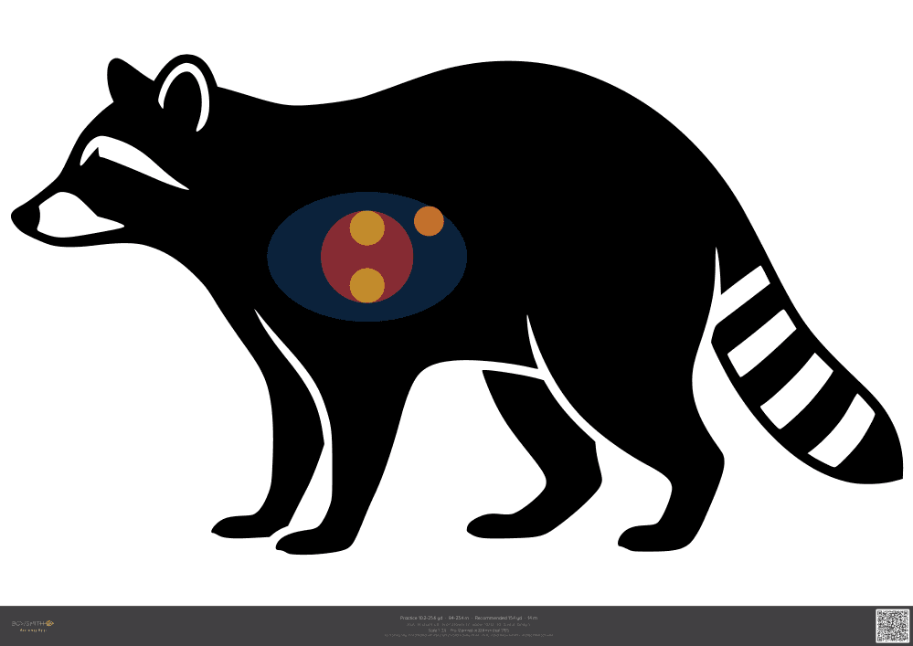 Podgląd tarczy Raccoon ASA