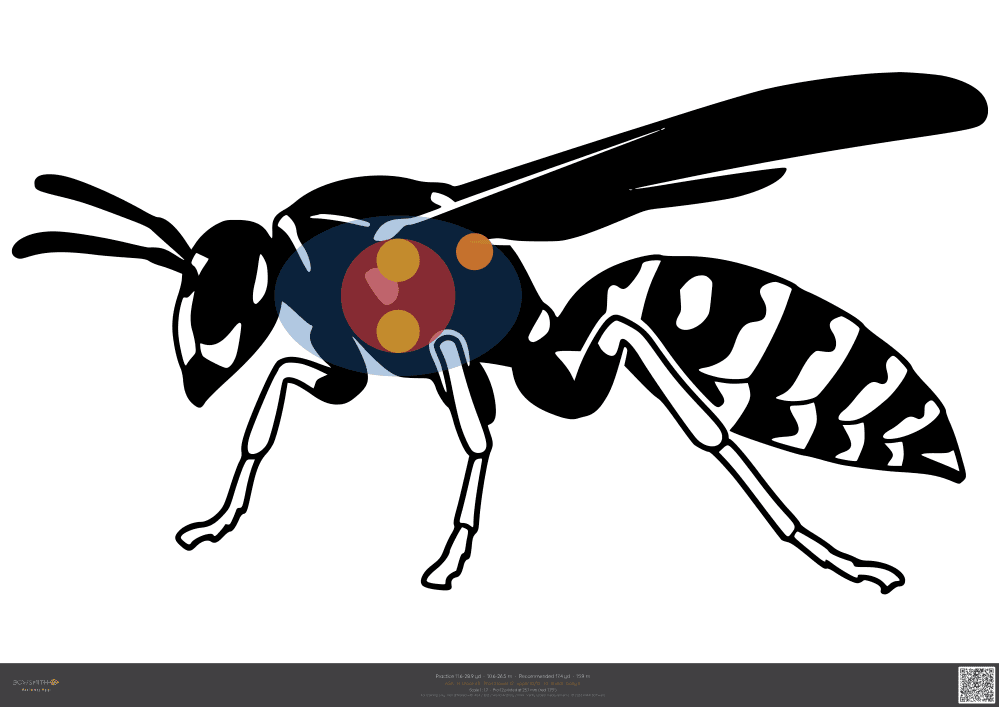 Podgląd tarczy Wasp ASA