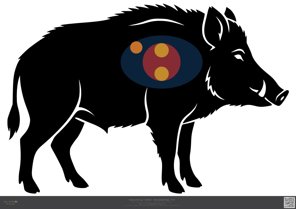 Podgląd tarczy Wild boar ASA