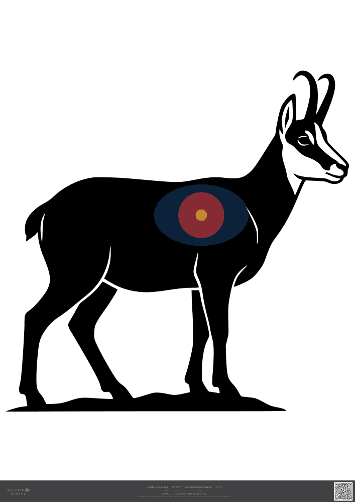 Náhled terče Chamois IBO