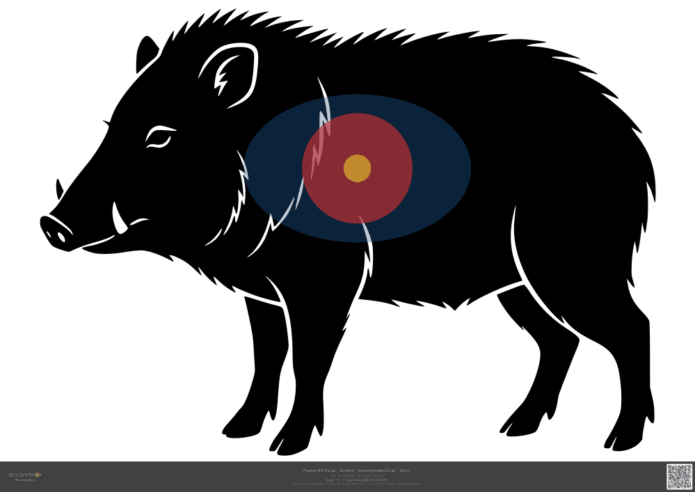 Náhled terče Javelina IBO
