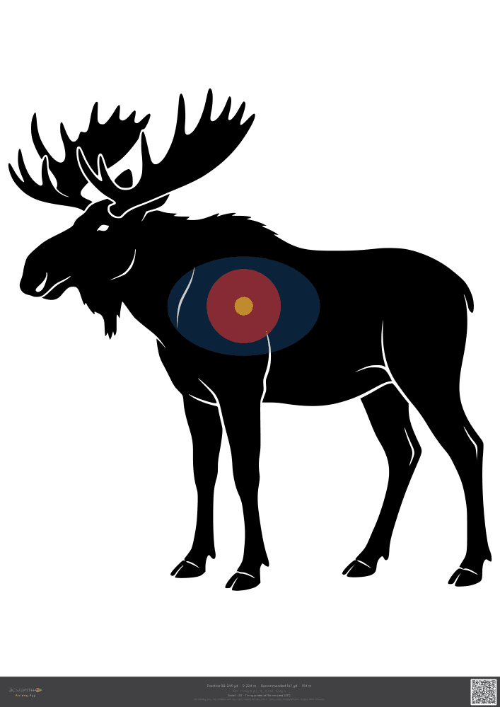 Náhled terče Moose IBO