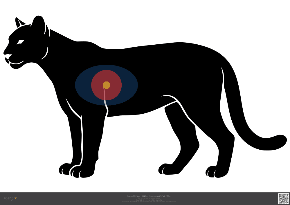 Náhled terče Mountain lion IBO