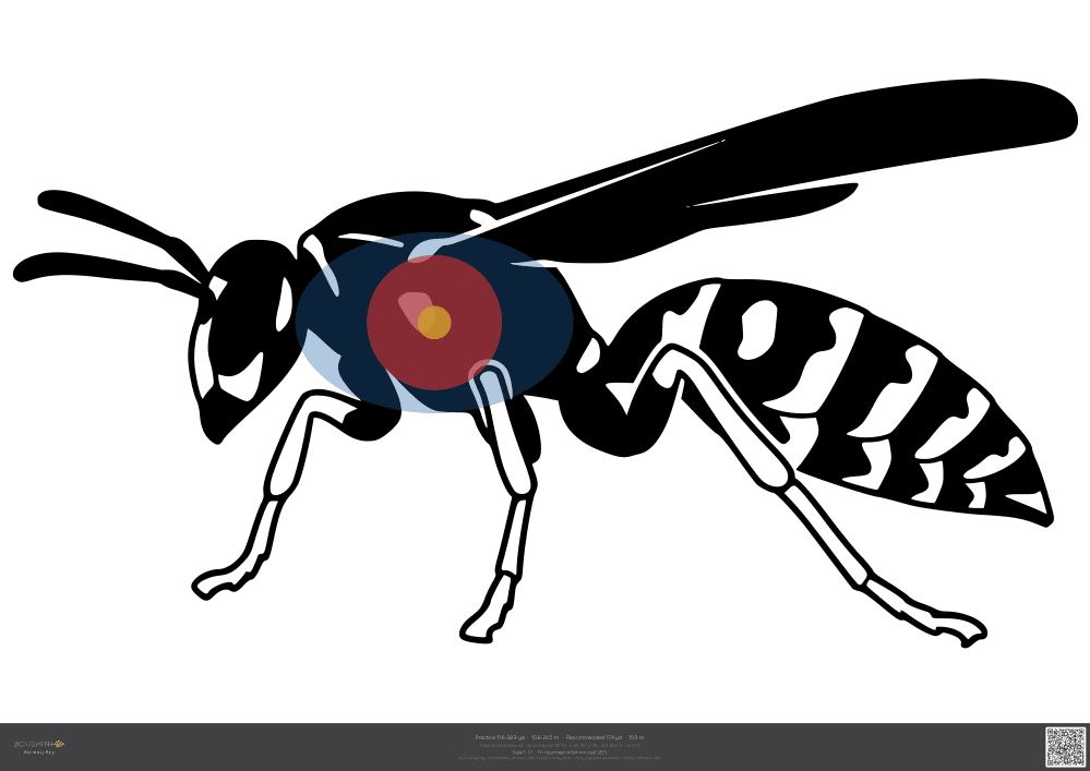 Náhled terče Wasp IFAA