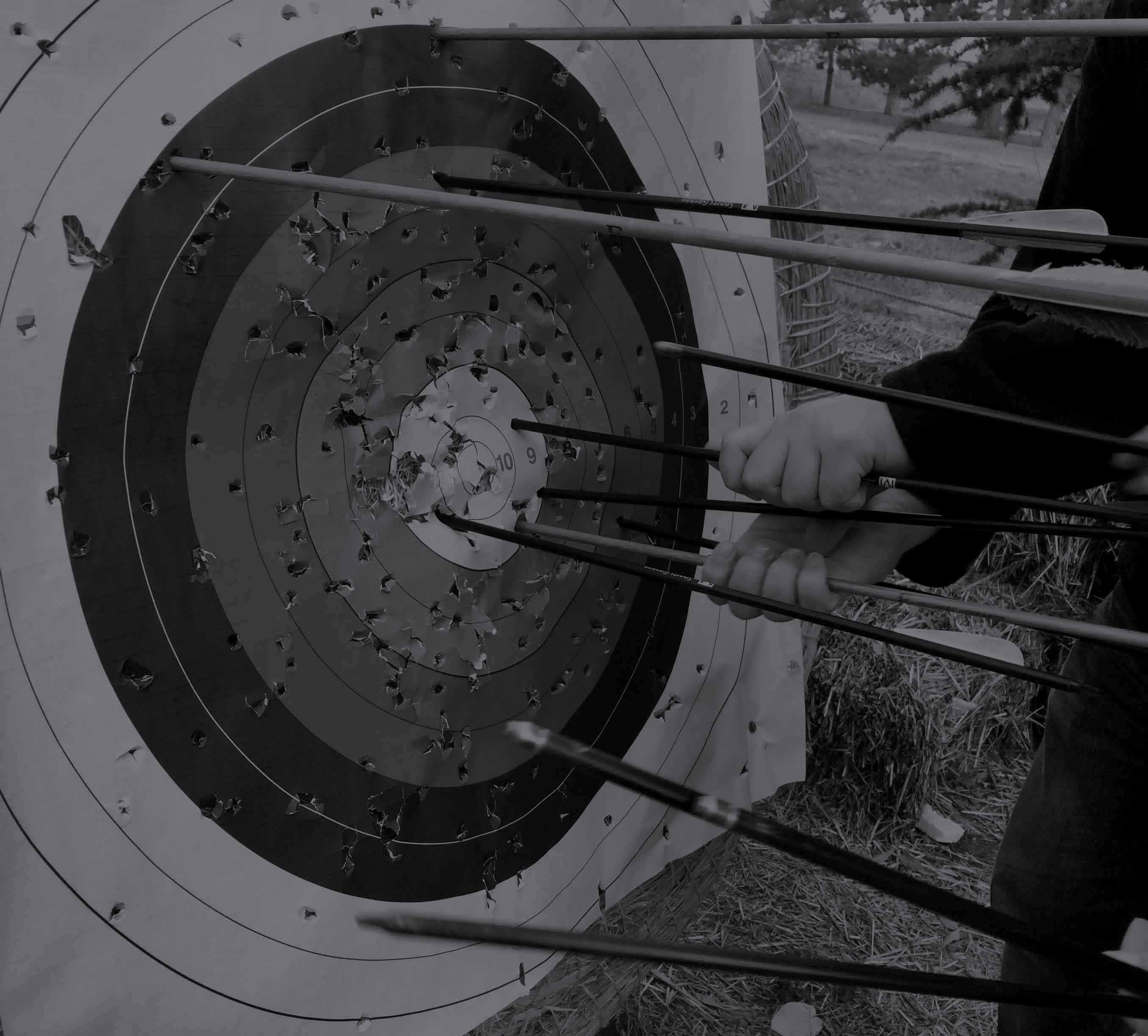 Arrows grouped tightly in the bullseye of a target